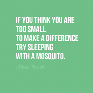 "If you think you are too small to make a difference try sleeping with a mosquito." African Proverb