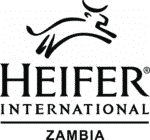 Heifer International Zambia