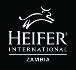 Heifer International