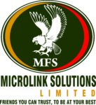 MICROLINK SOLUTIONS LIMITED