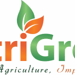 Nutrigreen Investment Ltd
