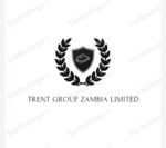 TRENT FINANCIAL SERVICES LTD