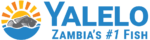 Yalelo Limited