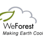 WeForest Zambia