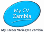 My CV Zambia