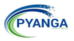 PYANGA CLEANING SERVICES LTD